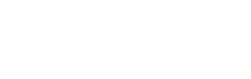 The Leiden Collection